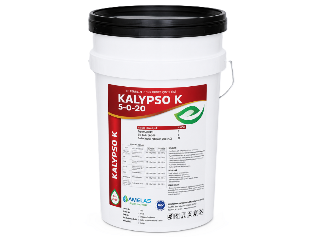 Kalypso K 5-0-20